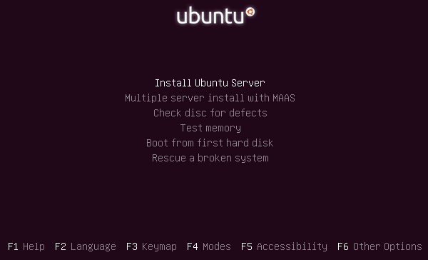 Выберите опцию для установки Ubuntu