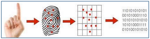 Система распознавания отпечатков пальцев