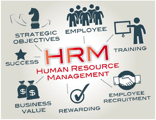 Организационная и HRM стратегия