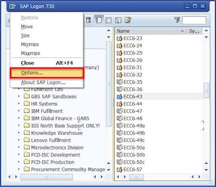 Опция входа в систему SAP