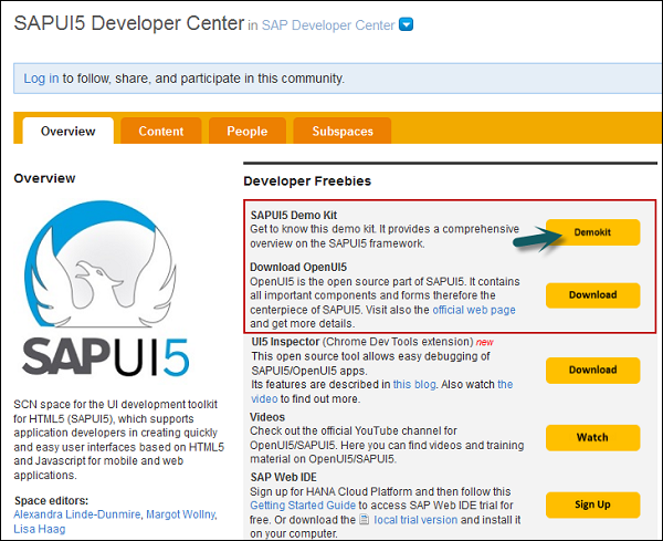 SAP UI5 Developer