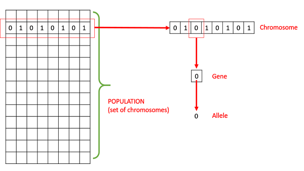 Статья: Генетический алгоритм, основанный на аутополиплоидии и предназначенный для усовершенствованной разработки линейных полифрактальных решеток