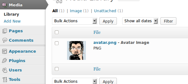 Медиа-статус плагина Avatar Manager под экраном библиотеки мультимедиа