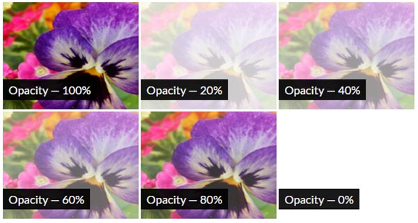 CSS Opacity Filter Effect