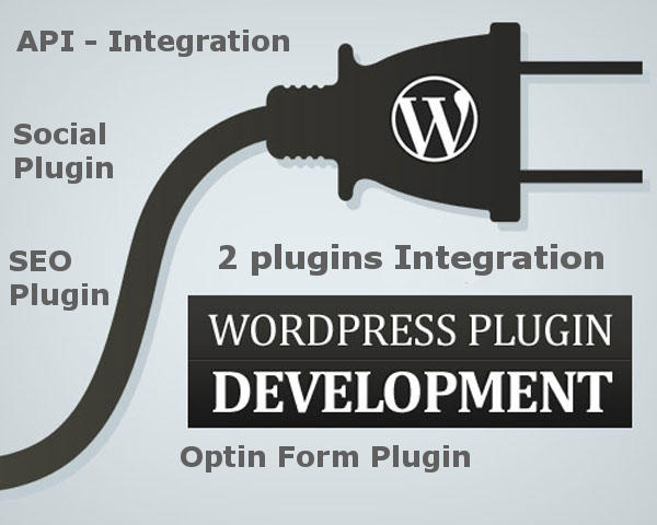 Разработка пользовательских плагинов WordPress