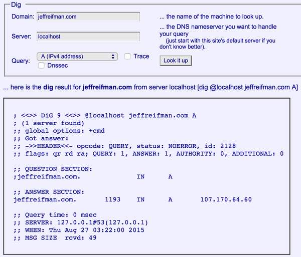 Kloth DNS Поиск записи A