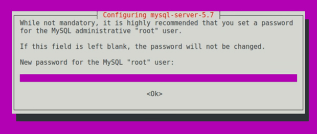 MySQL Password