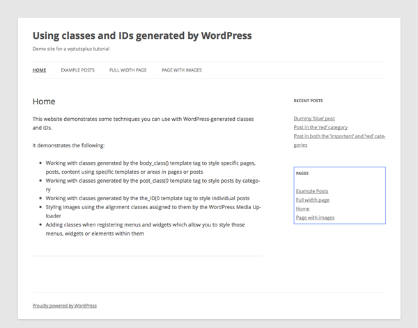 WordPress сгенерированного-классы-идентификаторы-8-стайлинг-меню