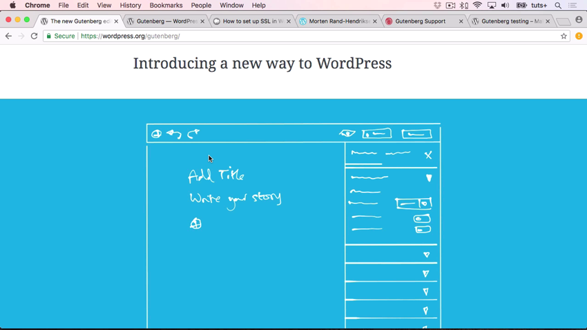 WordPress Gutenberg screenshot