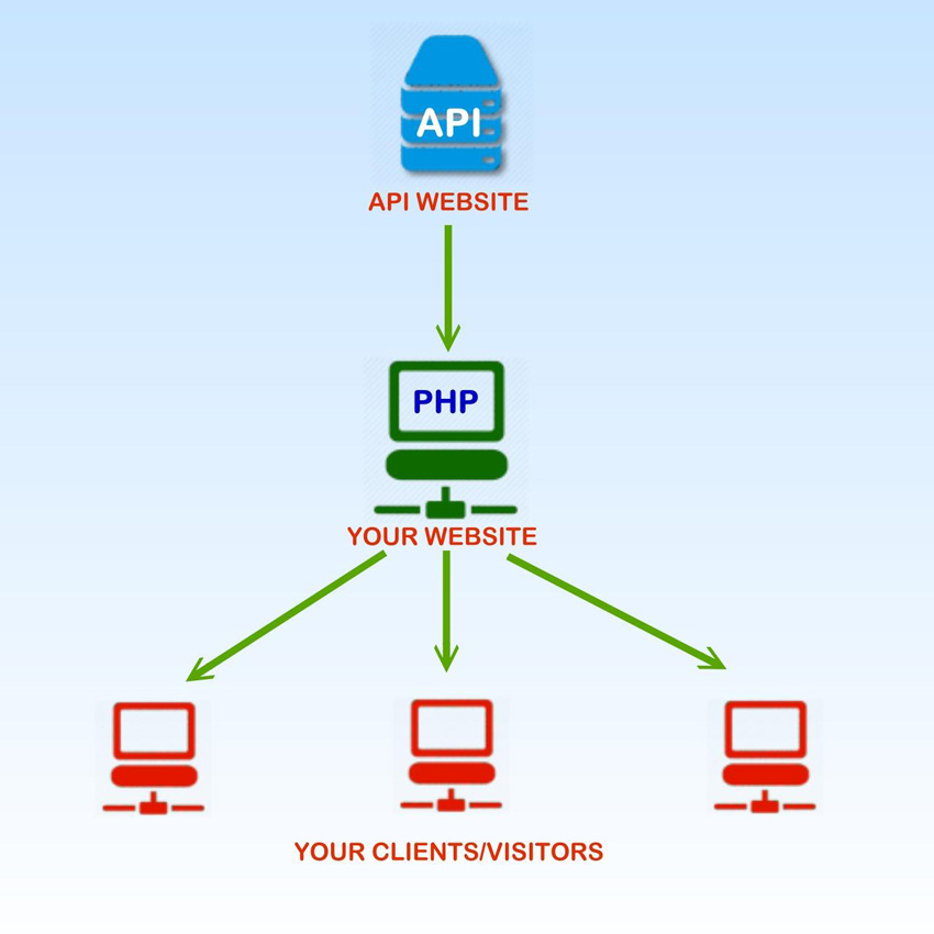 Случайные картинки api