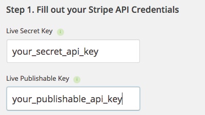 Stripe API Keys