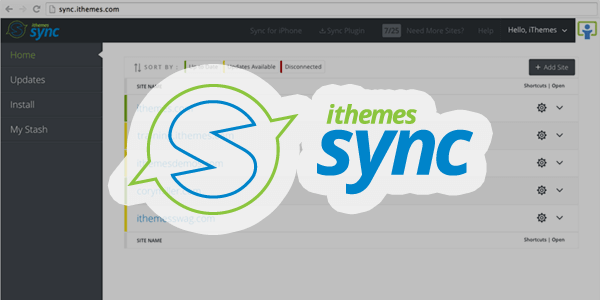 iThemes Sync