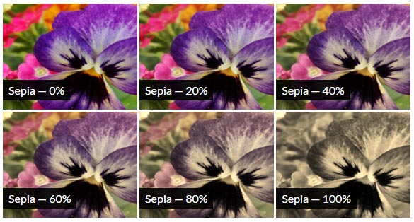 CSS Sepia Filter Effect