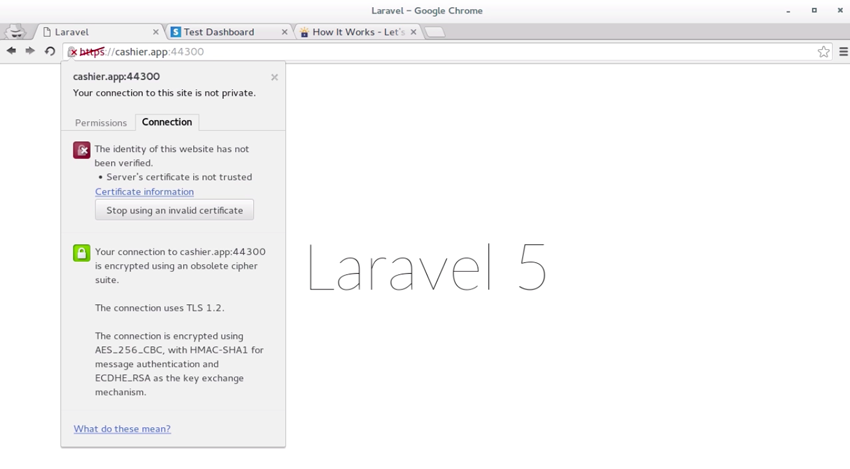 Снимок экрана из курса "Обработка платежей с помощью Stripe и Laravel Cashier"
