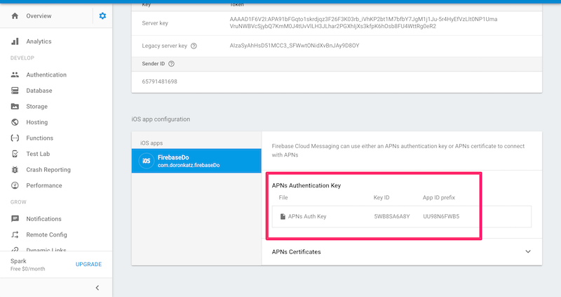 Добавление ключа APN в Firebase