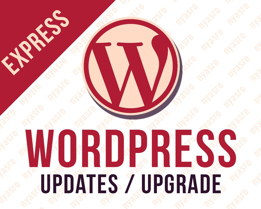 Экспресс WordPress Темы или Плагины Обновления до последней версии