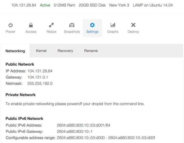 Информация об адресации ваших капель IPv4 и IPv6