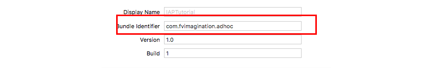 Идентификатор Chage Bundle во вкладке General в XCode
