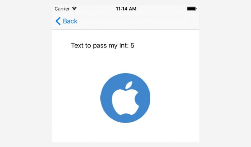 Экран приложения с текстом для прохождения моего логотипа Int 5 и Apple