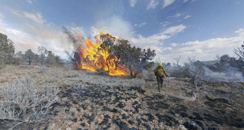 Пожарные борются с лесным пожаром в условиях пустыни