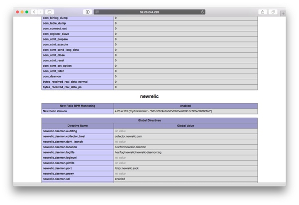 Тестовая страница PHP, показывающая новую конфигурацию Relic