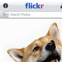 Flickr наконец стал родным с приложением для iPhone