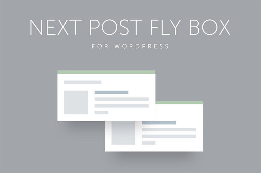 Следующая запись Fly Box для WordPress