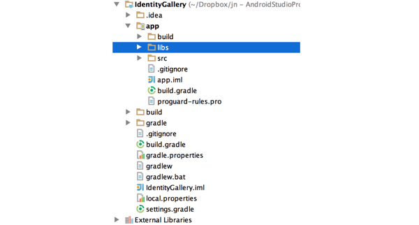 Папка Android Studio Libs через панель «Файл проекта»