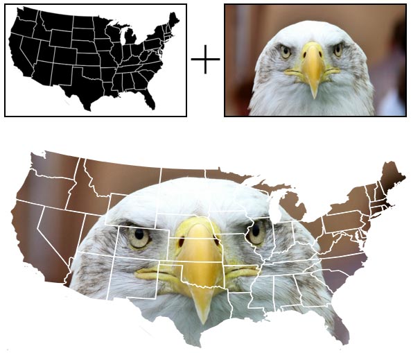 Сочетание карты США с изображением белоголового орлана