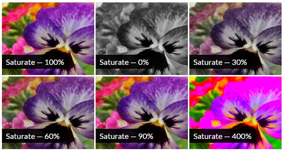CSS Saturate Filter Effect