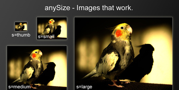 anySize - изменение размера кэшируемого изображения
