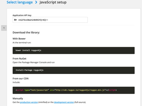 Экран настройки Raygun JavaScript