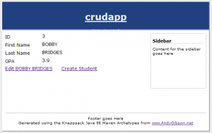 Скриншот CRUD Pattern View