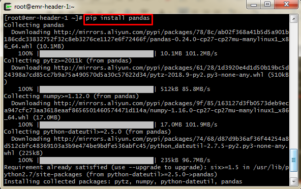 4 pip install pandas