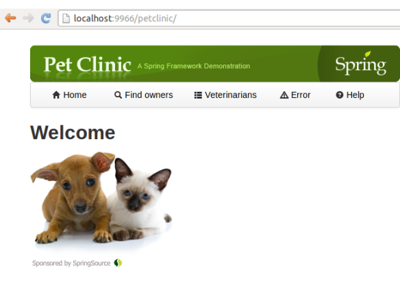 Спринг-PetClinic-1