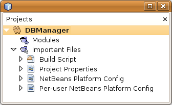 Контейнер платформы NetBeans