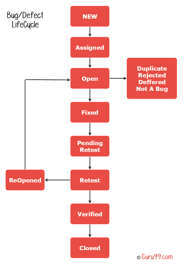 bug-life-cycle-coderlessons