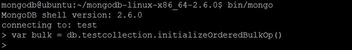 07.DB.INITIALIZEORDEREDBULKOP