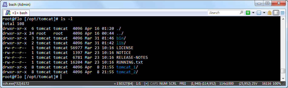 multiple_instances_structure