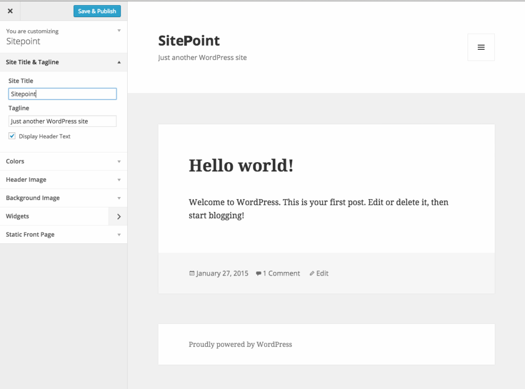 WordPress Theme Customizer API