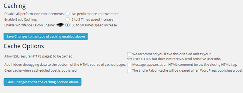 Настройки WordFence Falcon