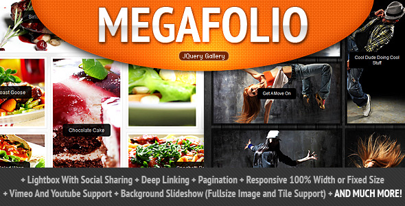 Megafolio Gallery jQuery Plugin