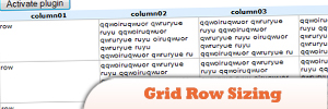 JQuery-Сетка-Роу-Sizing.jpg