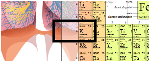 fig2