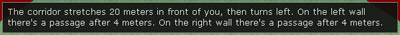 Коридор простирается на 20 метров перед вами, затем поворачивает налево. На левой стене есть проход через 4 метра. На правой стене есть проход через 4 метра.