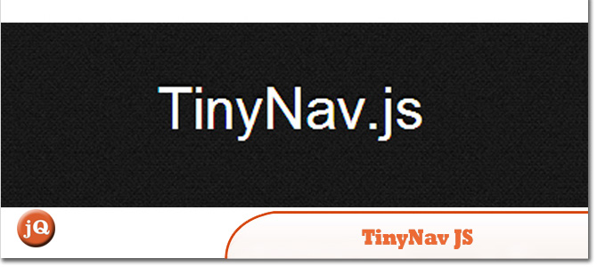 TinyNav-JS1.jpg