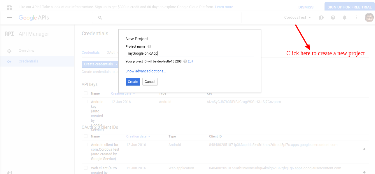 Создать новый проект Google Developer Console