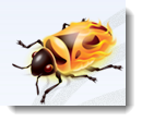 firebug1