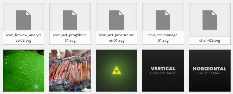 WordPress SVG библиотека