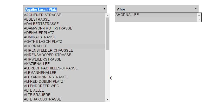 screenshot of dropdown boxes styled with the plugin